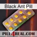 Black Ant Pill new11